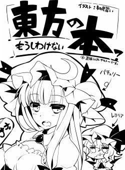 (C82) [Ikeriu] の時に出したちょっとしたコピー本 (Touhou Project)