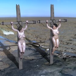 HLT1W - Leia And Padme Crucified