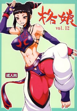 (C78) [Motsu Ryouri (Doru Riheko, Motsu)] Kaku Musume vol. 12 (Street Fighter IV)