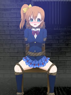 [Soo] Kosaka Honoka Goumon, Shokei Goumon (Love Live!)