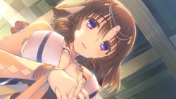 [Aquaplus] Utawarerumono: Futari no Hakuoro