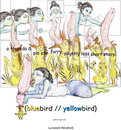 [NADIE PRESENCE] Blue Bird / Yellow Bird | Part 2