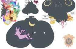 [MIDSUMMERNIGHTSDREAM] Umbreon Image Sequence