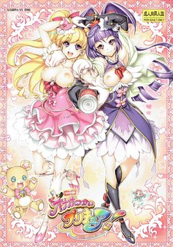 (C91) [Kashiwa-ya (Hiyo Hiyo)] Onaho Tsukai PreCure! (Mahou Tsukai PreCure!)