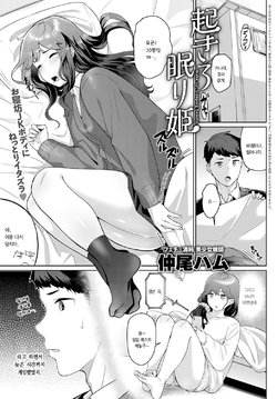 [Nakao Hamu] Okiro Nemuri Hime (COMIC Anthurium 2020-10) [Korean] [Digital]