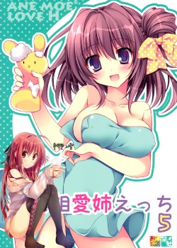 (C87) [Matsurija (Nanaroba Hana)] Soushisouai Ane Ecchi 5 [Korean] [완벽한 사람]