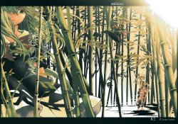 (Kouroumu 4) [Amidakuzu (Sano Sanoko)] Owari to Hajimari no Oto (Touhou Project)