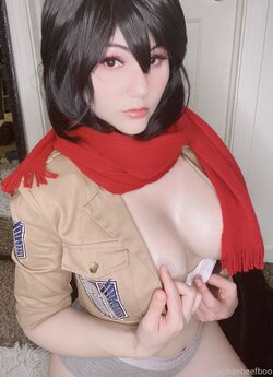 Kobaebeefboo - Mikasa