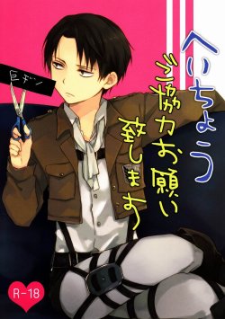 (FALL OF WALL2) [hey you! (Non)] Heichou Gokyouryoku Onegaiitashimasu (Shingeki no Kyojin)