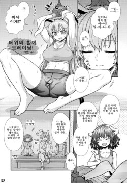 (Reitaisai 13) [Stapspats (Various)] Gensoukyou Futanari Chinpo Wrestling Goudou-shi 2 GFCW Extreme Joker (Touhou Project) (korean) (part)