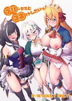 (C96) [Ikihaji Hummingbird (Amano Don)] Princess to Connect Shitai! (Princess Connect! Re:Dive) [English] [SDTLs]