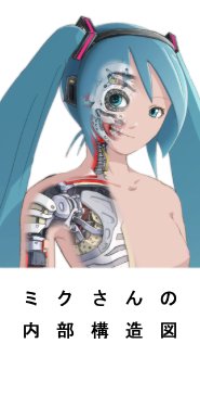 Internal structure of Miku's