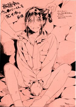 (C96) [Tsumarimasen (tsurumi)] Tabi Tochuu no Waver-kun o Okasu Hon (Lord El-Melloi II Sei no Jikenbo)