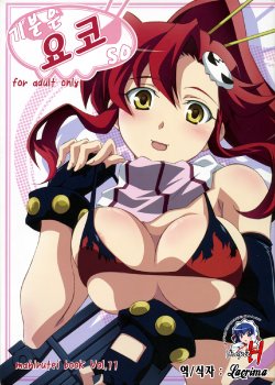 (C72) [Mahirutei (Izumi Mahiru)] Kibun wa Yoko-so (Tengen Toppa Gurren Lagann) [Korean]