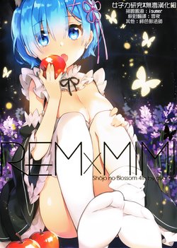 (C91) [Hachigo (Ayamy)] REM X MIMI (Re:Zero kara Hajimeru Isekai Seikatsu) [Chinese] [女子力研究X无毒汉化组]