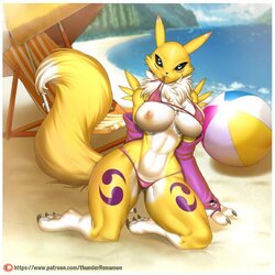 ARTIST Thunder-renamon