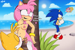 [Excito] Amys Beachside Mischief (Sonic the Hedgehog)