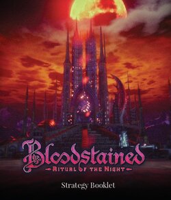 Bloodstained Ritual of the Night Kickstarter Strategy Booklet & Official Illustrations