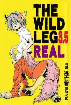 [GoldenDawn89 (姫川明)] THE WILD LEG 3.5 REAL [Chinese] [逃亡者×新桥月白日语社]