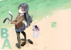 (C95) [NtyPe (Mizoguchi Keiji)] Bunny A Girl! (Seishun Buta Yarou wa Bunny Girl Senpai no Yume o Minai) [Chinese] [绅士仓库汉化]