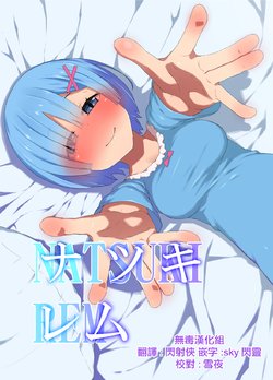 [Rakuichimonji (Prophecy)] Natsuki Rem (Re:Zero kara Hajimeru Isekai Seikatsu) [Chinese] [无毒汉化组]