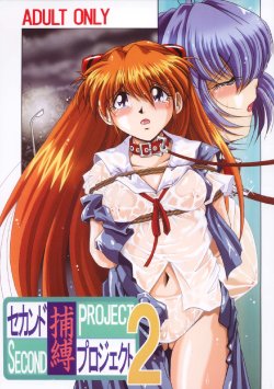 [Thirty Saver Street 2D Shooting (Maki Hideto, Sawara Kazumitsu)] Second Hobaku Project 2 (Neon Genesis Evangelion) [Digital]