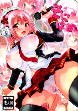 (C81) [An-Arc (Hamo)] Sonihame (Super Sonico) [German]