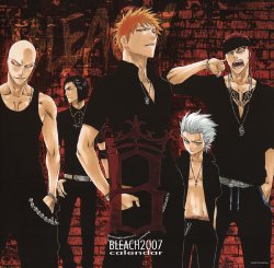 Bleach Calendar 2007 B