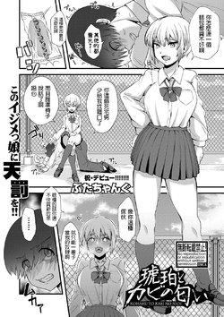 [Butachang] Kohaku to Kabi no Nioi (COMIC Shingeki 2020-02) [Chinese] [Digital]