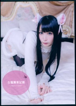 [LeChat]white cat feed dairy