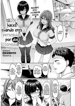 [Okumoto Yuuta] Nito ni Owarerya Dosureba!? | ¿¡Qué haces cuando eres perseguido por dos conejas!? (COMIC Kairakuten 2022-11) [Spanish] [SSR Translations] [Digital]