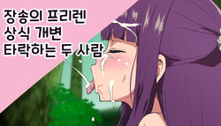 [Sanatuki] Joushiki Kaihen Ochiru Futari | 상식 개변 타락하는 두 사람 (Sousou no Frieren) [Korean]