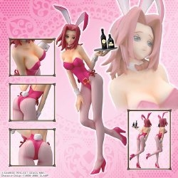 My Hot bunnygirl collection