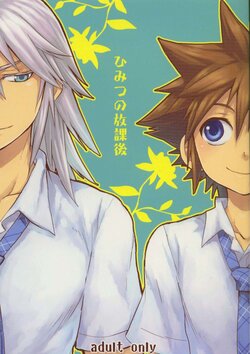 (CosCafe22) [RS (Samwise)] Himitsu no Houkago (Kingdom Hearts) [Spanish] [nokokuro]