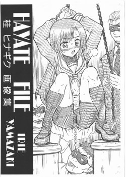 (C77) [RAT TAIL (Irie Yamazaki)] HAYATE FILE Katsura Hinagiku Gazoushuu (Hayate no Gotoku!)