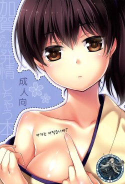 [Hitsuji 1ban Shibori (Hitsuji Hako)] Kaga wa Ikaga (Kantai Collection -KanColle-) [Korean] [WestVatican] [Digital]