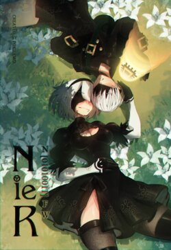 [Pokilewd] Nier N[001010011]FW [药娘小月个人机翻]