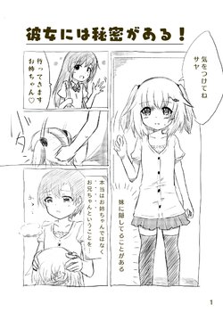 Kanojo niwa himitsu ga aru! Chapters 1-11