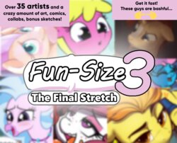 (Various) Fun-Size 3: The Final Stretch