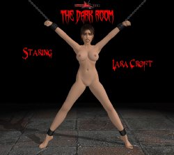 The Dark Room a Lara Croft misadventure