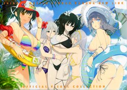 SHINOVI MASTER SENRAN KAGURA NEW LINK OFFICIAL VISUAL COLLECTION