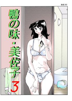 [Katanashi Apollo] Kamo no Aji - Misako 3 [English] [N04h] [Digital]