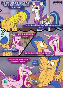 [Da Goddamn BatGuy] Flash's Royal Service (My Little Pony Friendship Is Magic) [korean] [TeamHumanTrash]