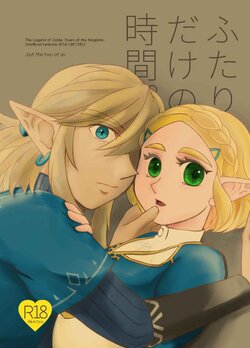 (ALL STAR 24) [Affection (Sou Akira)] Futari dake no Jikan. (The Legend of Zelda) [Sample]