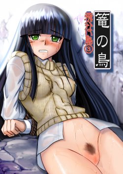 (C74) [Youkai Ankake (Pickles)] Tobenai Tori 3 ~Kagonotori~ (Gad Guard) [Chinese]