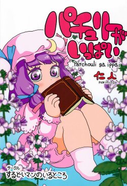 (Aka no Hiroba 8) [Surudoiman no Irutokoro (Norihito)] Patchouli ga Ippai (Touhou Project)