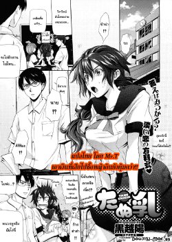 [Kurokoshi You] Tanu Chichi (COMIC X-EROS #01) [Thai ภาษาไทย] [Mr.T]