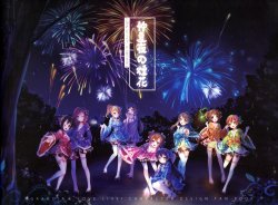 仲夏夜の烟花 Fireworks in summer night