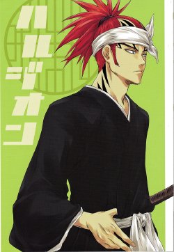 (C66) [HONEY CANON (Takamiya Haruya)] Harujion (Bleach)