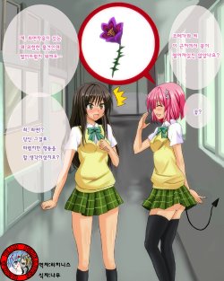 [Kokyu no Heya] Saimin Darkness (To LOVE-ru) korean